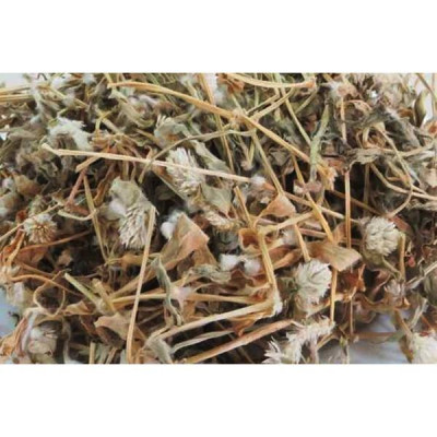 01KG Cây Nở Ngày Đất Phơi Khô Loại 1