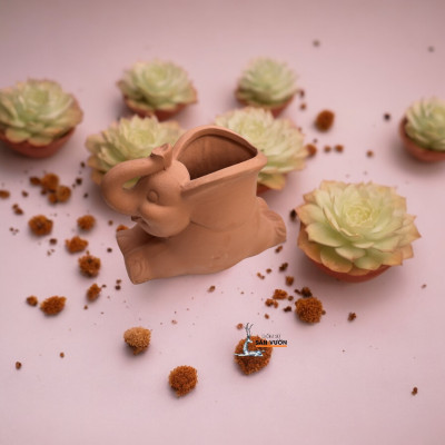 Chậu Gốm Đất Nung Hình Chú Voi Con