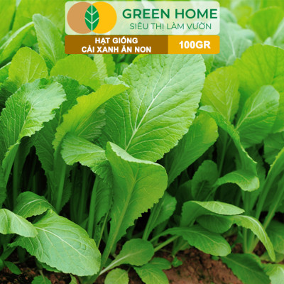 Hạt Giống Rau Cải Ăn Non GreenHome, GÓI 100GR, Dễ Trồng, Nảy Mầm Cao, Thu Hoạch,Năng Suất R29