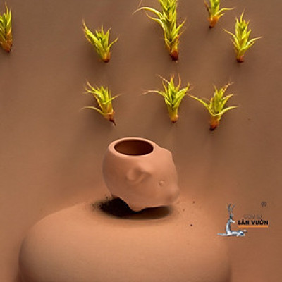Chậu Gốm Heo Con Mini - Chậu Trồng Sen Đá Dễ Thương