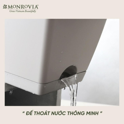 Chậu nhựa trồng cây chữ nhật, trang trí ban công Monrovia, chậu trồng rau, khay trồng rau, trồng hoa