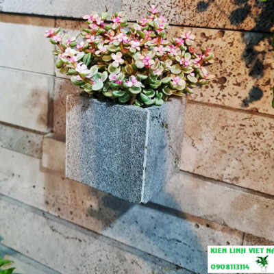 Chậu vuông 10cm trồng cây cảnh bằng đá ong xám tự nhiên, Chậu trồng cây treo tường, chậu đá ong xám