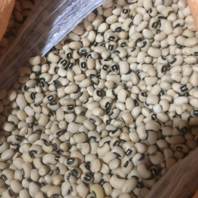 Đậu trắng bi Việt Thiên 150g, 250g, 500g