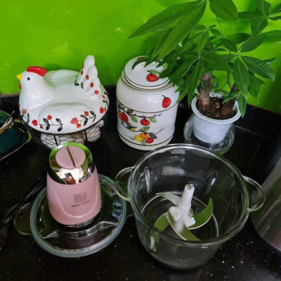 Máy xay thịt thực phẩm đa năng cối thuỷ tinh Linh Chi Bedding, tặng 01lưỡi dao - Giao mầu ngẫu nhiên