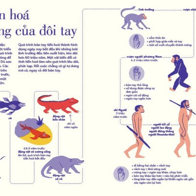 Tỏ Tường Tay Ta - Bách Khoa Toàn Thư Về Đôi Tay