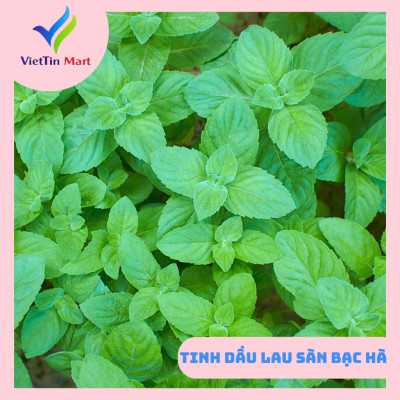 Nước Lau Sàn Tinh Dầu Bạc Hà Viettin Mart 1L