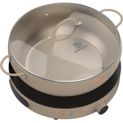 Bếp từ đơn Hawonkoo CEH-101-I-CF - Hàng chính hãng