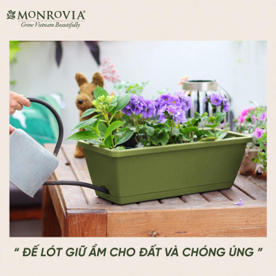 Chậu nhựa trồng cây chữ nhật, trang trí ban công Monrovia, chậu trồng rau, khay trồng rau, trồng hoa