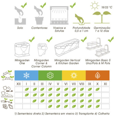 Set 3 Túi Hạt Giống Hữu Cơ Xà Lách Lettuce "Maravilla De Verano" Nhập Khẩu Minigarden Bồ Đào Nha 100% Organic (Túi từ 1.500 - 2.100 hạt) Tỷ lệ nảy mầm cao