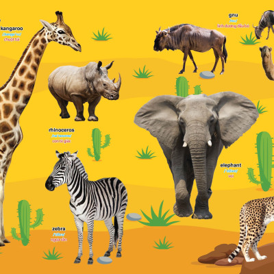 Combo HÀNH TRANG CHO BÉ TỰ TIN VÀO LỚP MỘT - Tặng bộ thẻ chữ cái và chữ ghép