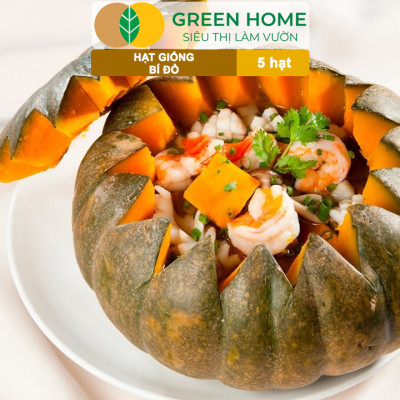 Hạt Giống Bí Đỏ Greenhome, Gói 5 Hạt, Dễ Trồng, Nảy Mầm Cao, Thu Hoạch Nhanh, Năng Suất Cao T03