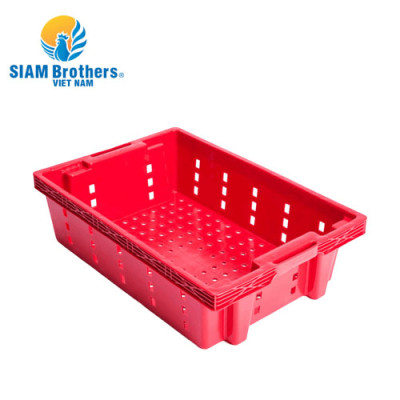 Khay nhựa chữ nhật trồng rau/đựng đồ/ đựng cá siêu bền Siam Brothers - Đỏ