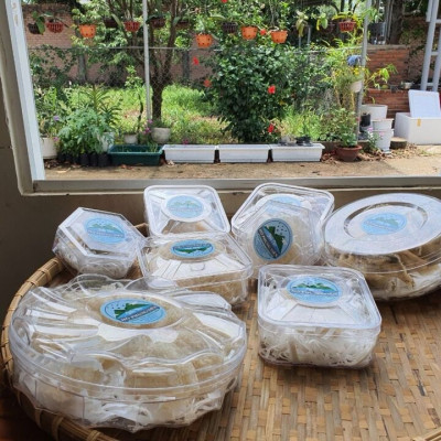 Yến sào sạch Hồ Phụng Tiên 100g nguyên chất