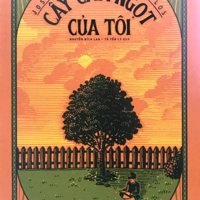 Combo Sách Ngàn Mặt Trời Rực Rỡ + Cây Cam Ngọt Của Tôi (Bộ 2 Cuốn)