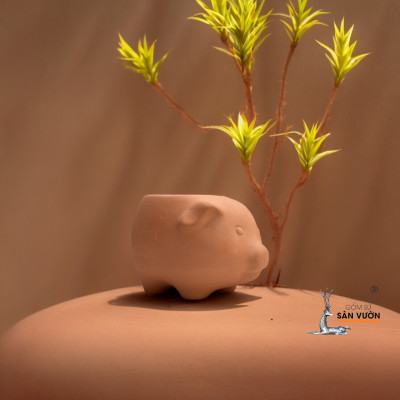 Chậu Gốm Heo Con Mini - Chậu Trồng Sen Đá Dễ Thương