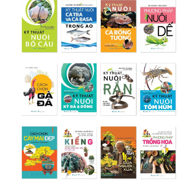 Phương Pháp Trồng Hoa