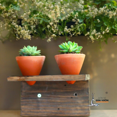 Bộ Chậu Treo Gốm Đất Nung Trồng Sen Đá