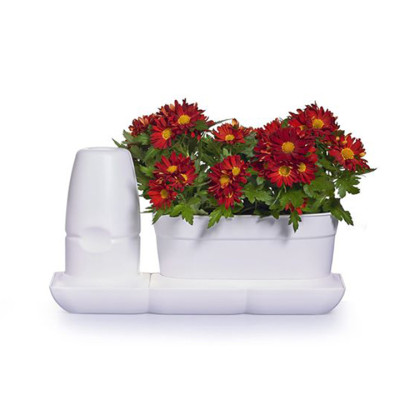 Vòng Phụ Kiện 5 Màu Color Ring Thay Thế Vòng Chậu Kit Trồng Cây Tự Dưỡng nhập khẩu Bồ Đào Nha Basic S và Basic UNO (màu trắng)