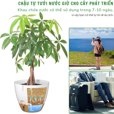 Chậu trồng cây tự tưới thông minh MONROVIA cho cây trong nhà hoặc ngoài trời, decor, văn phòng