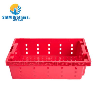 Khay nhựa chữ nhật trồng rau/đựng đồ/ đựng cá siêu bền Siam Brothers - Đỏ