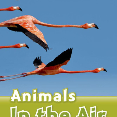 Oxford Read and Discover 3 Animals In the Air