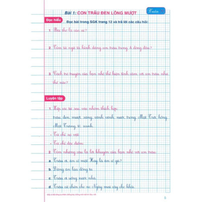 Sách - Vở Ô Li Bài Tập Tiếng Việt Lớp 2 - Tập 2 - Bám Sát SGK Cánh Diều - Hồng Ân