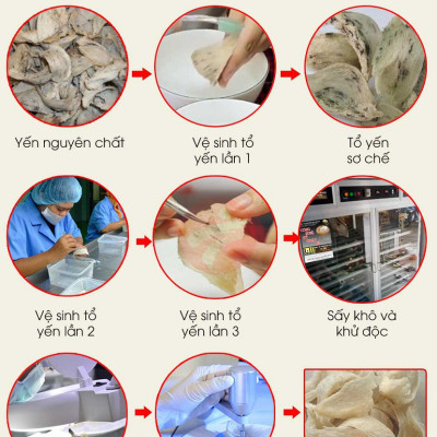 Tổ Yến Sào Tinh Chế VINARI 10 gram, 20 gram, 100 gram  - Thương hiệu YẾN SÀO VINARI- Tăng cường hệ miễn dịch, Cải thiện tiêu hóa và thèm ăn, Tăng cường phát triển trí não cho bé, Thúc đẩy quá trình lành vết thương, Cung cấp năng lượng & Khôi phục vẻ rạng rỡ