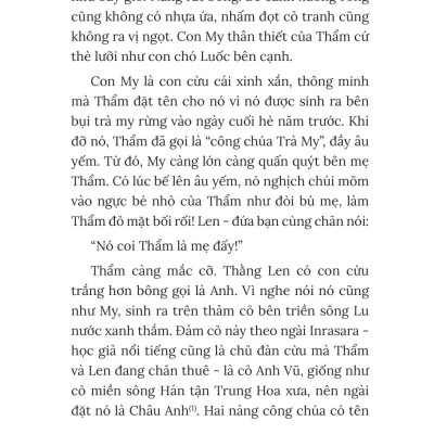 Sách - Miền Thảo Nguyên Panduranga