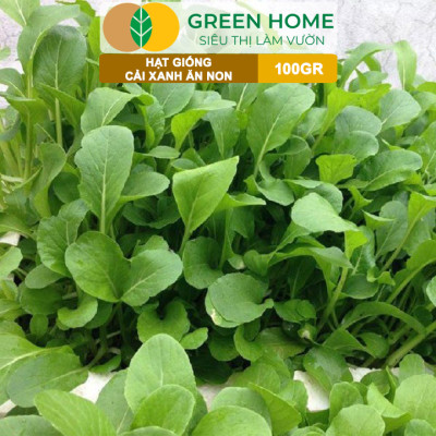 Hạt Giống Rau Cải Ăn Non GreenHome, GÓI 100GR, Dễ Trồng, Nảy Mầm Cao, Thu Hoạch,Năng Suất R29