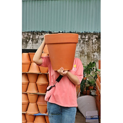 Chậu Gốm Đất Nung Ly Gờ Size Lớn