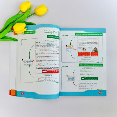  Chinh phục điểm 10 đề kiểm tra học kì Tiếng Việt 2 (Bộ sách KNTTVCS)