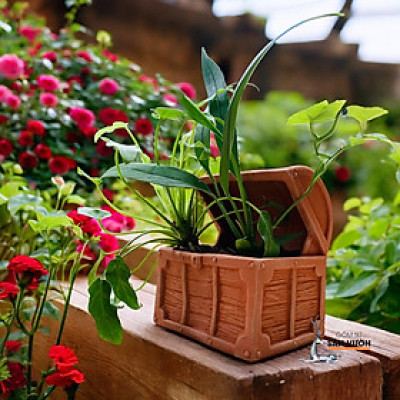 Chậu Gốm Đất Nung Hình Chiếc Rương Kho Báo