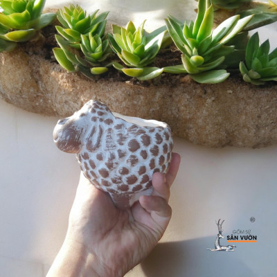 Chậu Gốm Đất Nung Hình Con Cừu - Chậu Trồng Sen Đá Dễ Thương