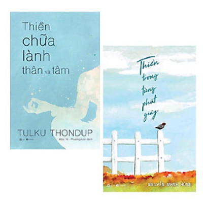 Sách - Thiền Trong Từng Phút Giây + Thiền Chữa Lành Thân Và Tâm - Combo 2 Cuốn - Thái Hà Books