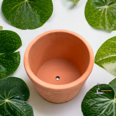 Chậu Gốm Đất Nung Trồng Cây Hình Trụ