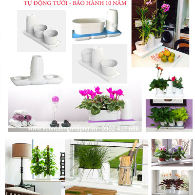 Vòng Phụ Kiện 5 Màu Color Ring Thay Thế Vòng Chậu Kit Trồng Cây Tự Dưỡng nhập khẩu Bồ Đào Nha Basic S và Basic UNO (màu trắng)