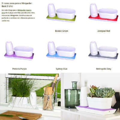 Vòng Phụ Kiện 5 Màu Color Ring Thay Thế Vòng Chậu Kit Trồng Cây Tự Dưỡng nhập khẩu Bồ Đào Nha Basic S và Basic UNO (màu trắng)