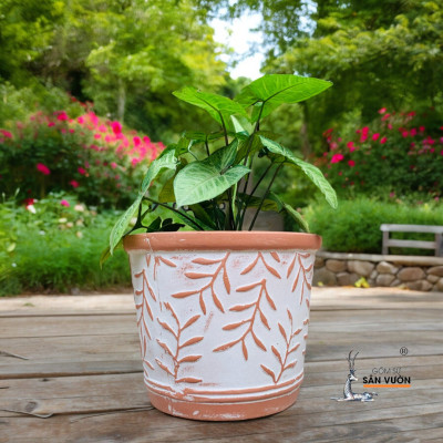 Bộ 3 Chậu Vót Sơn WAX Vân Lá Liễu