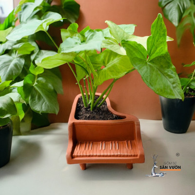 Chậu Gốm Đất Nung Mini Hình Đàn Piano -  Chậu Gốm Decor