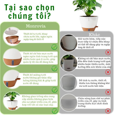 Chậu trồng cây tự tưới thông minh MONROVIA cho cây trong nhà hoặc ngoài trời, decor, văn phòng