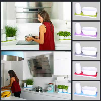 Vòng Phụ Kiện 5 Màu Color Ring Thay Thế Vòng Chậu Kit Trồng Cây Tự Dưỡng nhập khẩu Bồ Đào Nha Basic S và Basic UNO (màu trắng)