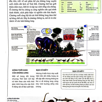 Bách Khoa Thư Khủng Long Dành Cho Thiếu Nhi (Tái Bản 2022)