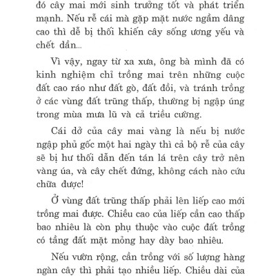 Trồng Mai - Kỹ Thuật Bón Tưới, Phòng Trừ Sâu Rầy, Bệnh Hại