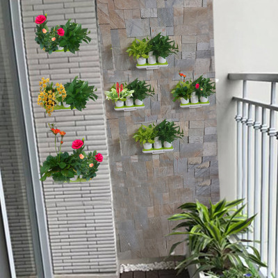 Vòng Phụ Kiện 5 Màu Color Ring Thay Thế Vòng Chậu Kit Trồng Cây Tự Dưỡng nhập khẩu Bồ Đào Nha Basic S và Basic UNO (màu trắng)