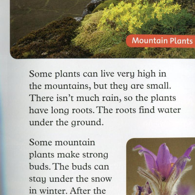 Oxford Read and Discover: Level 2: In the Mountains