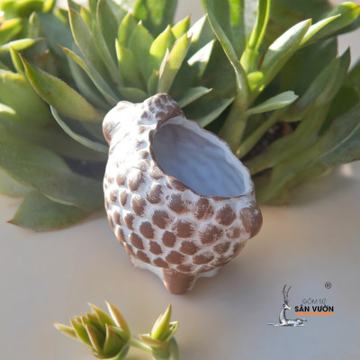 Chậu Gốm Đất Nung Hình Con Cừu - Chậu Trồng Sen Đá Dễ Thương