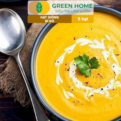 Hạt Giống Bí Đỏ Greenhome, Gói 5 Hạt, Dễ Trồng, Nảy Mầm Cao, Thu Hoạch Nhanh, Năng Suất Cao T03