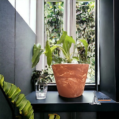 Chậu Gốm Đất Nung Vót Loang D19cm X H16cm