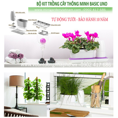 Vòng Phụ Kiện 5 Màu Color Ring Thay Thế Vòng Chậu Kit Trồng Cây Tự Dưỡng nhập khẩu Bồ Đào Nha Basic S và Basic UNO (màu trắng)
