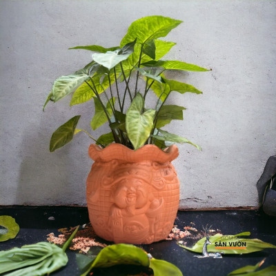 Chậu Gốm Đất Nung Hình Thần Tài Rộng 15cm X Cao 15cm